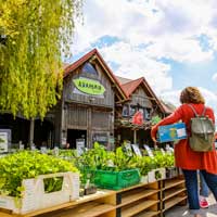Pflanzenmarkt