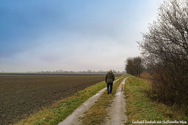 Rückblick | Ausblick | Weitblick
