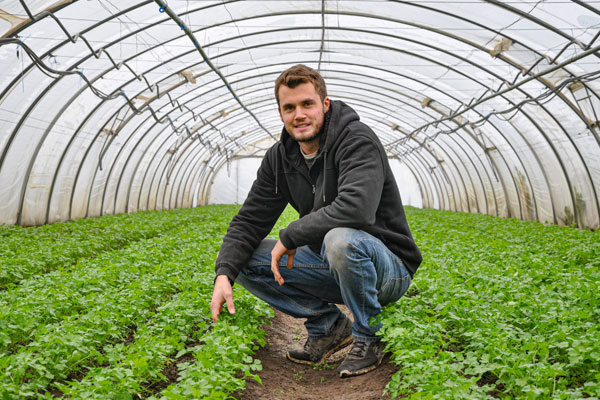 Bio-Landwirtschaft