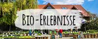 Erlebnisse