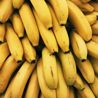 Alles Banane