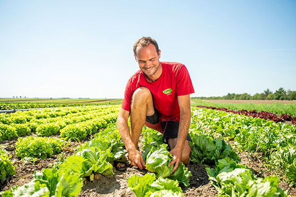 Bio-Landwirtschaft