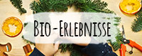 Erlebnisse